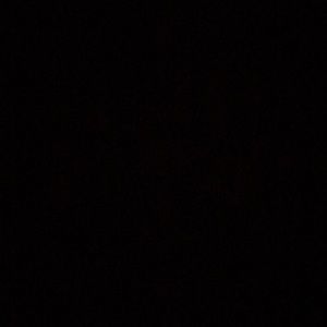 Meet your Posher, Bryce